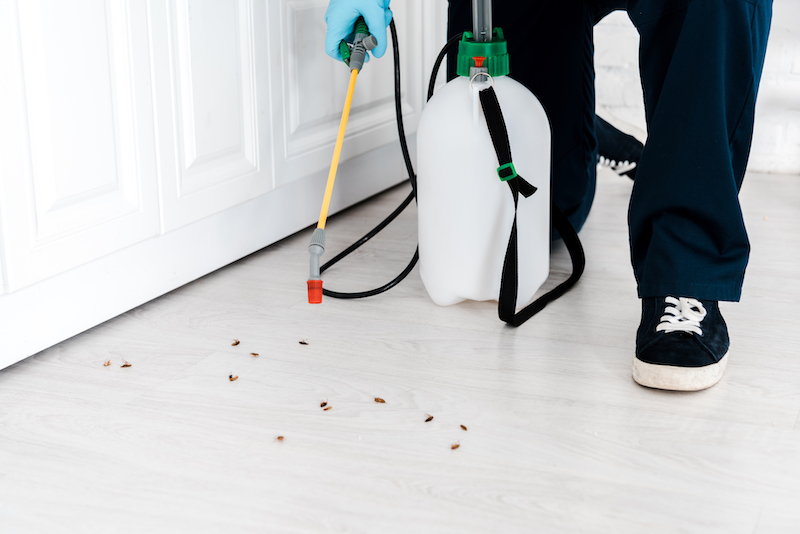 Man in blue gloves using pest control spray on floor with visible pest droppings, illustrating pest management services for homeowners.