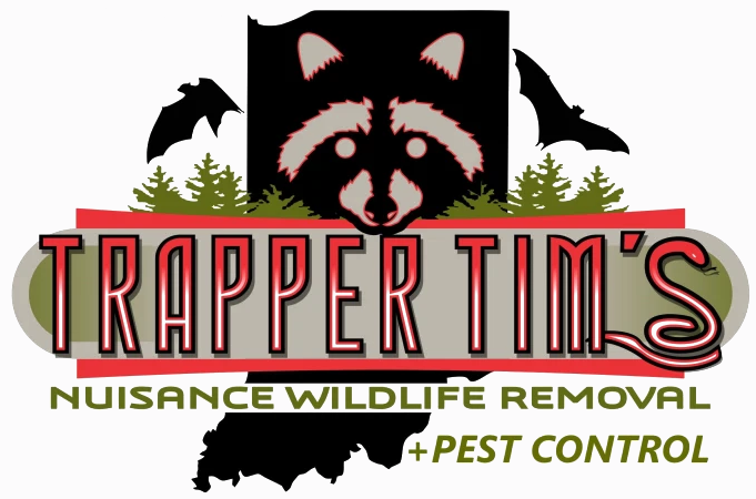 Trapper Tim's logo featuring a raccoon, bats, and trees, highlighting nuisance wildlife removal and pest control services in Indiana.