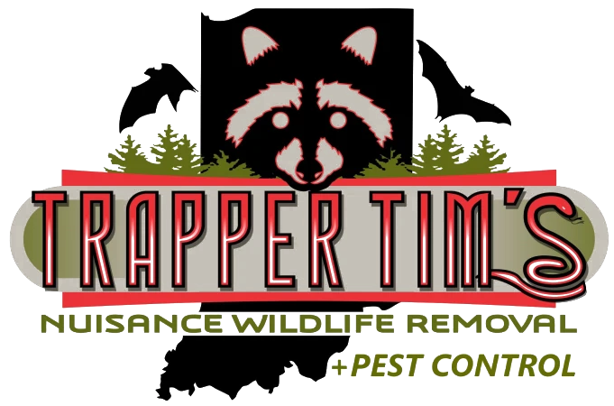 Trapper Tim's logo featuring a raccoon, bats, and trees, promoting nuisance wildlife removal and pest control services in Morgan County, IN.